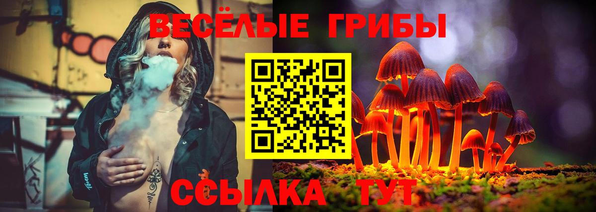 Воскресенск  где продают наркотики  Вход с VPN  Галлюциногенные грибы мицелий 