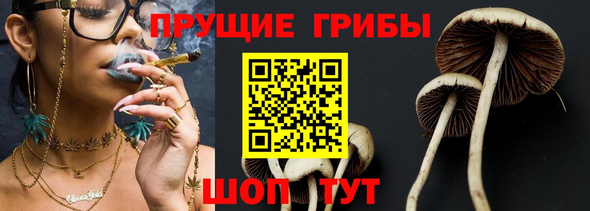 Галлюциногенные грибы прущие грибы Воскресенск